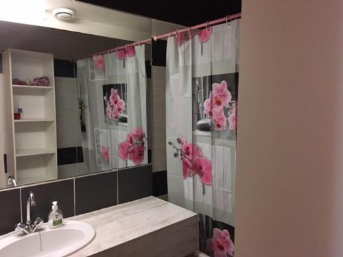 a bathroom with a sink and a mirror with pink flowers at Studio cabine 5 pers, balcon, 80m pistes, animaux ok - FR-1-404-228 in La Mongie