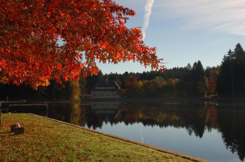 a lake with a building on the side of it at Hotel Waldsee in Lindenberg im Allgäu