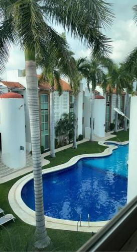 a pool with palm trees in front of a building at Lovely 3 bedroom condo with pool in Ixtapa
