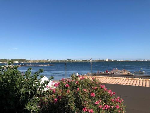 Studio rénové, climatisé et Wifi à Balaruc-les-Bains - FR-1-553-79