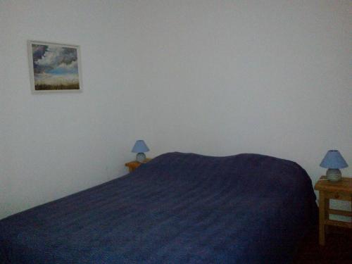 - une chambre avec un lit bleu et 2 lampes sur les tables dans l'établissement Appart cosy 4 pers, 1 ch, plage, parking privé - FR-1-81-526, au Barcarès