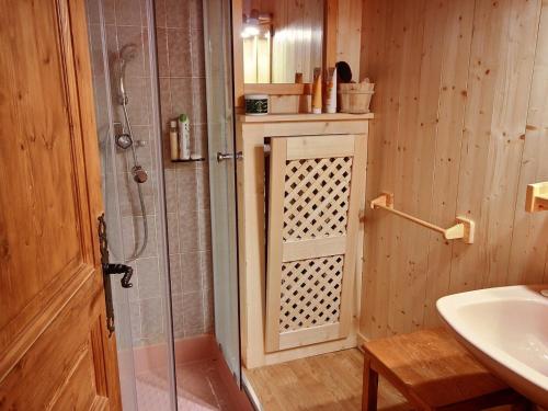 een badkamer met een douche en een wastafel bij Chalet Peisey-Vallandry, 5 pièces, 10 personnes - FR-1-411-683 in Landry