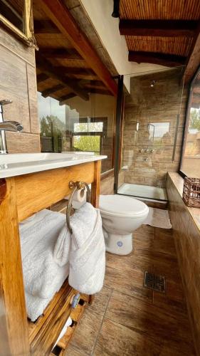 a bathroom with a toilet and a sink at Casa Terra in Ciudad Lujan de Cuyo