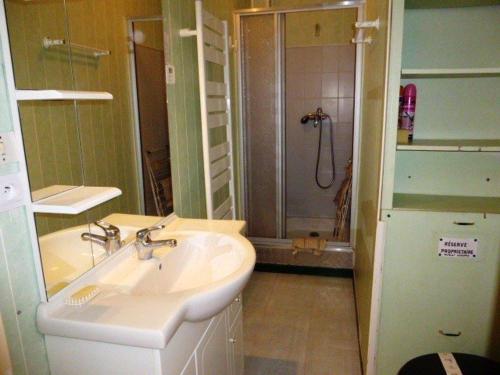une salle de bain avec un lavabo et une douche dans l'établissement Studio pour 4 pers., pied des pistes à La Pierre St Martin, commerces à proximité, parking gratuit - FR-1-602-6, à Arette