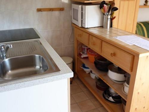 cocina con fregadero y microondas en un estante en Appartement Le Biot, 2 pièces, 6 personnes - FR-1-573-33 en Bonnevaux