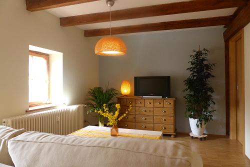 a living room with a couch and a television at Altstadtwohnung Kromers & Restaurant in Erfurt