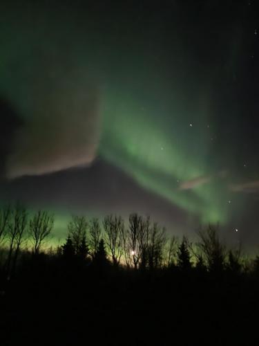 an aurora dances in the sky over a field at Stóraborg Holiday Home in Storaborg