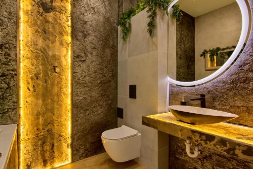 een badkamer met een wastafel, een toilet en een spiegel bij Silver Shine jacuzzi in Krakau