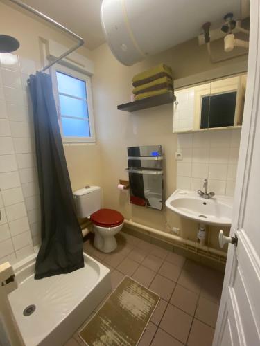 une salle de bain avec toilettes et lavabo dans l'établissement La clé de FA - Fibre Wifi - Parking - Calme et tranquilité, à Troyes