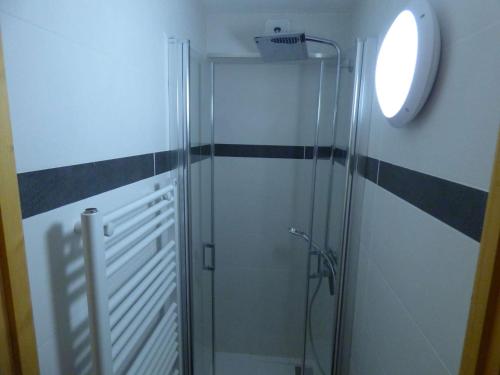 eine Dusche mit Glastür im Bad in der Unterkunft Appartement Le Grand-Bornand, 2 pièces, 4 personnes - FR-1-458-155 in Le Grand-Bornand
