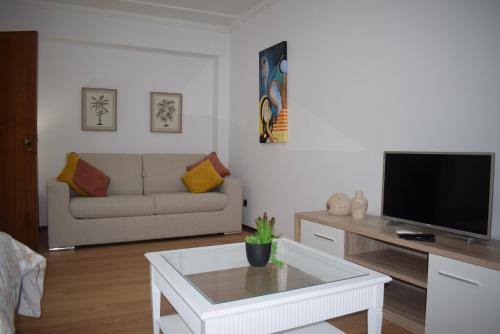 a living room with a couch and a tv at Terreiro da Erva House 2 in Coimbra