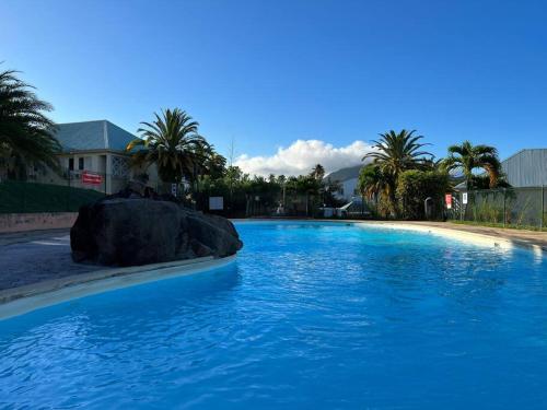 duży błękitny basen z dużą skałą w obiekcie Zabana Lodge, dans un jardin tropical avec piscine w mieście Saint-Claude