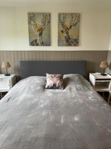 a bedroom with a bed with a wolf pillow on it at La Petite Passerelle à Mouzaive in Vresse-sur-Semois