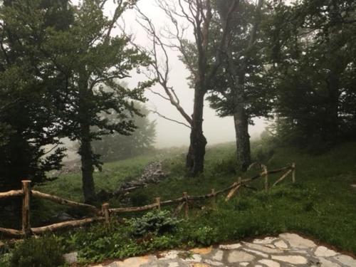 Galeriebild der Unterkunft Planinska kuća na Velebitu, s pogledom na more in Alan Stinički