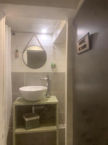 a bathroom with a sink and a mirror at Studio Montpellier écusson in Montpellier