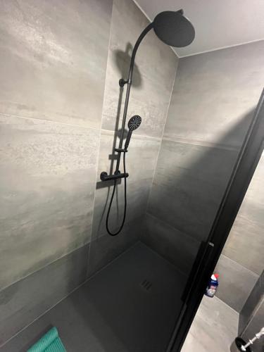 a shower with a shower head in a bathroom at Ferienhaus Hoti 