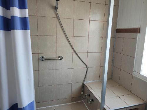 y baño con ducha y cortina de ducha. en Hospedaje Palena en Ancud