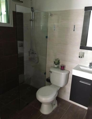 a bathroom with a toilet and a shower and a sink at Residencial caonabo tower in SJM