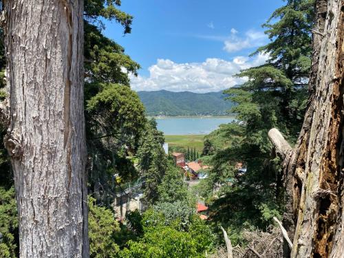 a view of a lake from between trees at Casa del bosque 2 in Valle de Bravo
