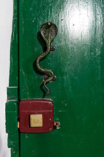 a snake is climbing on a green door at Opera Suites - Il sentiero della felicità in Calcata