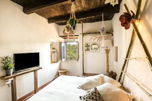 a small room with a bed and a tv at Opera Suites - Il sentiero della felicità in Calcata