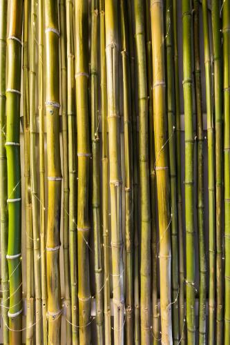 a bunch of bamboo poles stacked next to each other at Opera Suites - Il sentiero della felicità in Calcata