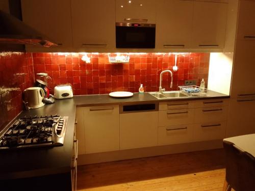 uma cozinha com um lavatório e um fogão forno superior em Superbe appartement em Antuérpia