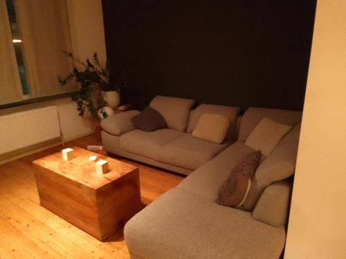 a living room with a couch and a coffee table at Superbe appartement in Antwerp