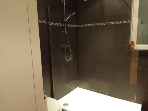 a bathroom with a shower with a glass door at Superbe appartement in Antwerp