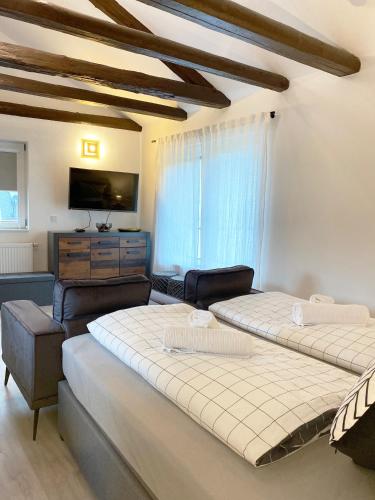 a bedroom with two beds and a tv and a couch at Sonnenlay Lounge Ferienhaus und Studio Balkon Garten E-Ladestation in Brauneberg