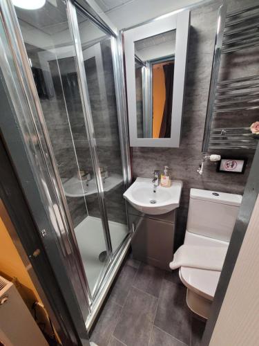 a bathroom with a shower and a sink and a toilet at The Residence - NO 8 in Edinburgh