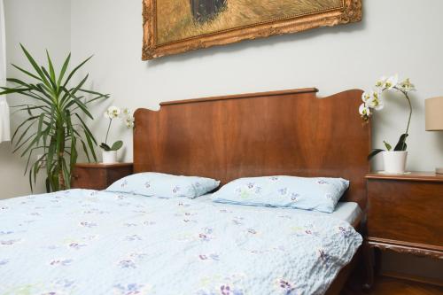 a bed with a wooden head board and two pillows at Apartman Woolf in Senta