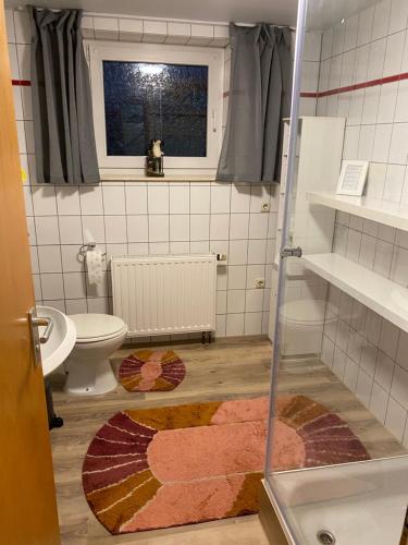 a bathroom with a shower and a toilet and a window at Fewo Stein in Altenbeken