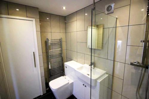 a bathroom with a toilet and a sink and a shower at Boutique Apartment Brixham in Brixham