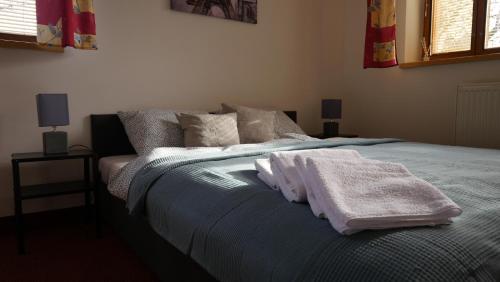 Postel nebo postele na pokoji v ubytování Penzion Atika