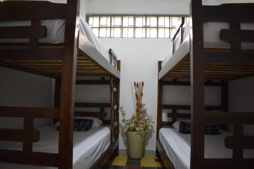 Habitación con 2 literas y una maceta. en Serrania Hostal, en Medellín