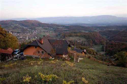 Letecký snímek ubytování Holiday home in Smarjeske Toplice - Kranjska Krain 26043