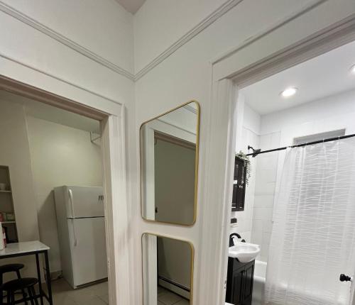 uma casa de banho com um espelho e um lavatório em The Jersey City Relief em Jersey City