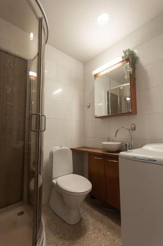 a bathroom with a toilet and a sink and a shower at Huoneisto Helsingin sydämmessä in Helsinki
