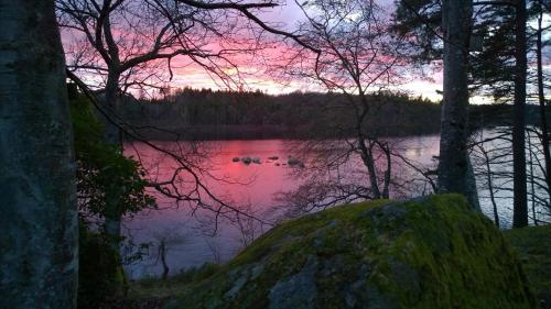 a view of a lake with trees and a sunset at Långasjönäs Camping & Stugby in Karlshamn