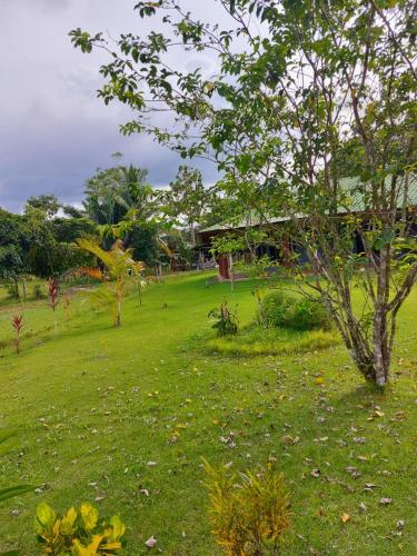Zahrada ubytování Casa Tabacón