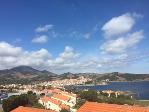 Photo de la galerie de l'établissement Appartement 2P climatisé avec parking et WIFI à Banyuls-sur-Mer - FR-1-225C-91, à Banyuls-sur-Mer