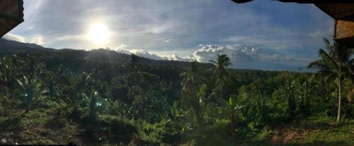 a view of a jungle with the sun in the background at Taylor's Country Home- The Grande by Taylor's Traveller's Inn Second Floor in Catarman