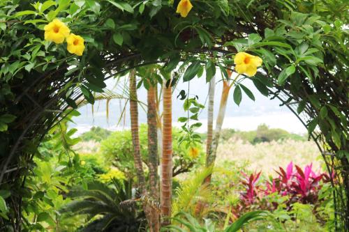 a group of trees with yellow flowers in a garden at Sea-k-SEVEN Hotels and Resorts- in Motobu