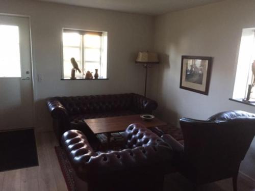 a living room with a leather couch and a table at Idyllisk anneks, hvor lejer har eget hus. in Vejle