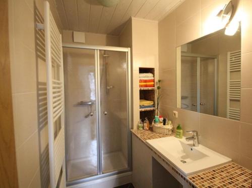 a bathroom with a shower and a sink at Ferienwohnung-Panoramablick in Neudorf