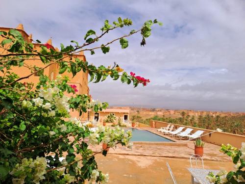 NkobにあるAuberge Kasbah Ennakhileの砂漠の景色を望むヴィラで、スイミングプールが付いています。