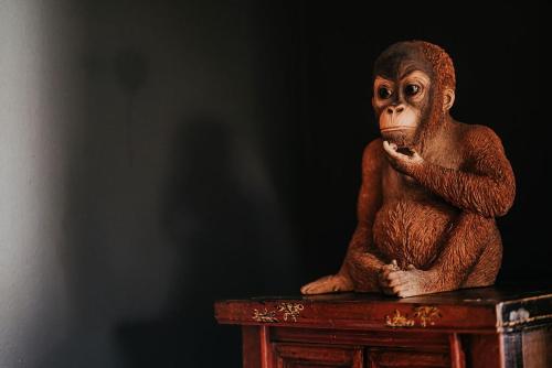 a statue of a monkey sitting on a table at Istana Lodge - Daylesford Region in Musk Vale