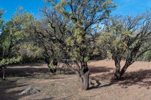 Φωτογραφία από το άλμπουμ του Afoulki Ecotourism Guest House σε Telouet