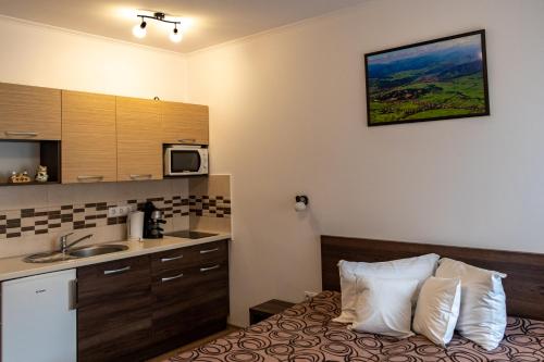 O bucătărie sau chicinetă la Casa Tofi Vendégház